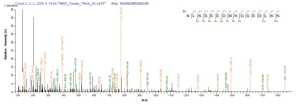 Mass Spectrometry - Recombinant Mouse Myoglobin protein (Tagged) (AB235821)