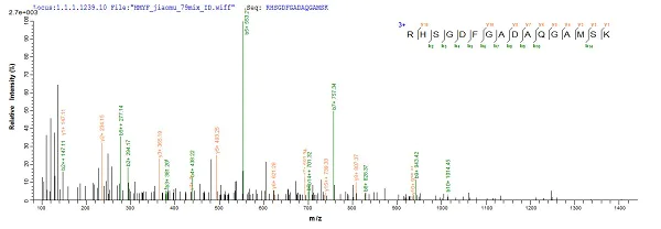 Mass Spectrometry - Recombinant Mouse Myoglobin protein (Tagged) (AB235821)