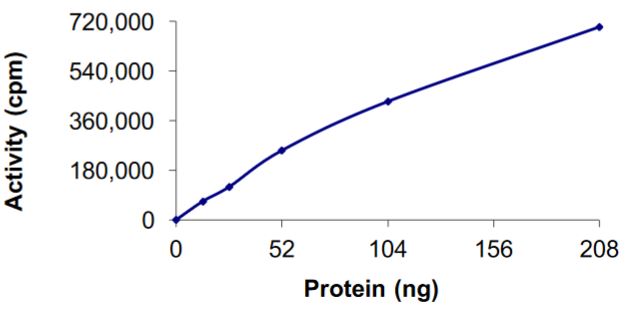 Recombinant mouse NAK/TBK1 protein (Tagged)