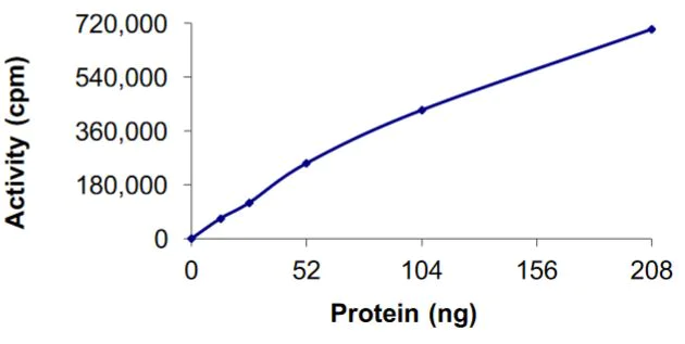 Gel Shift Assay - Recombinant mouse NAK/TBK1 protein (Tagged) (AB269029)