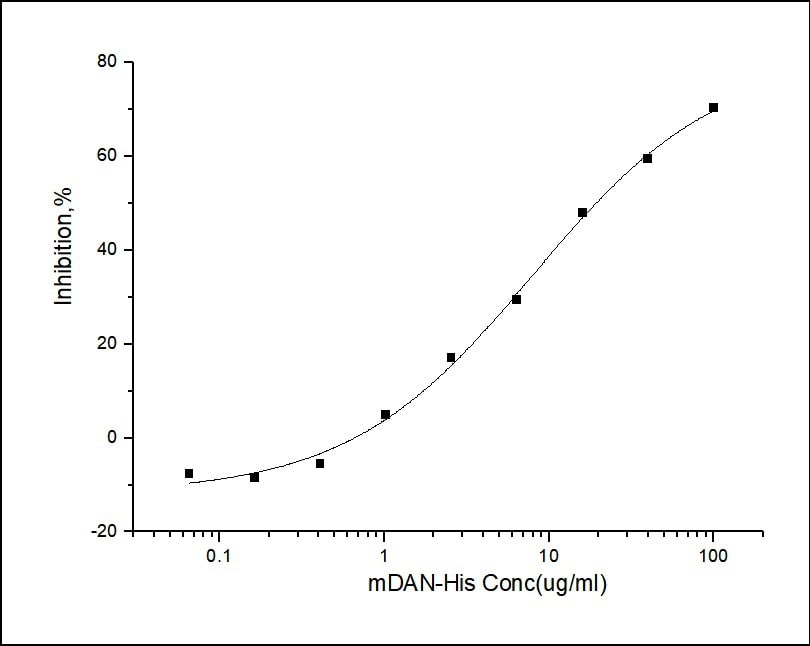 Recombinant mouse NBL1 protein (His tag)