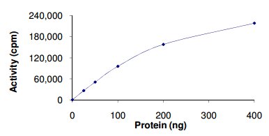 Functional Studies - Recombinant Mouse NEK1 protein (AB133146), expandable thumbnail