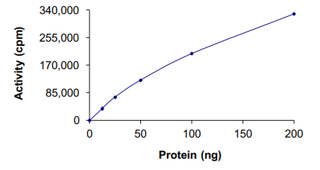 Functional Studies - Recombinant Mouse NEK1 protein (AB133146), expandable thumbnail