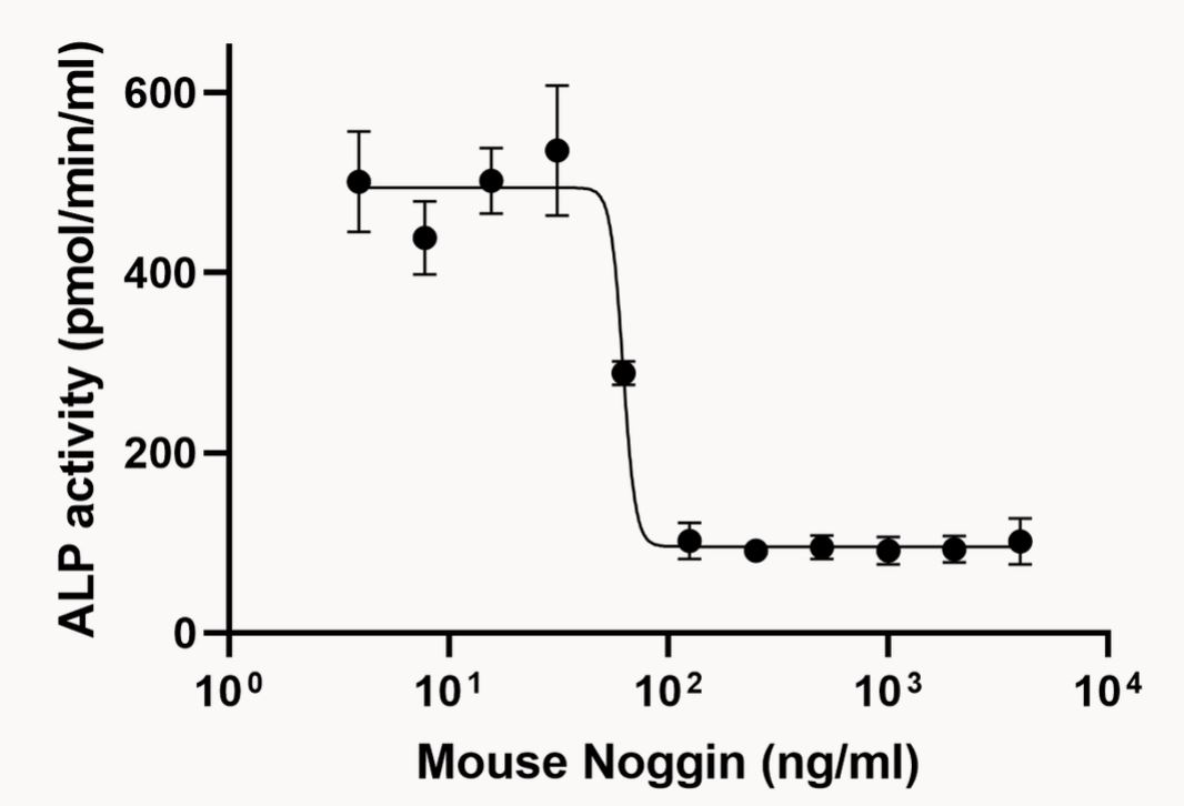 Functional Studies - Recombinant mouse Noggin protein (Active) (AB281818), expandable thumbnail
