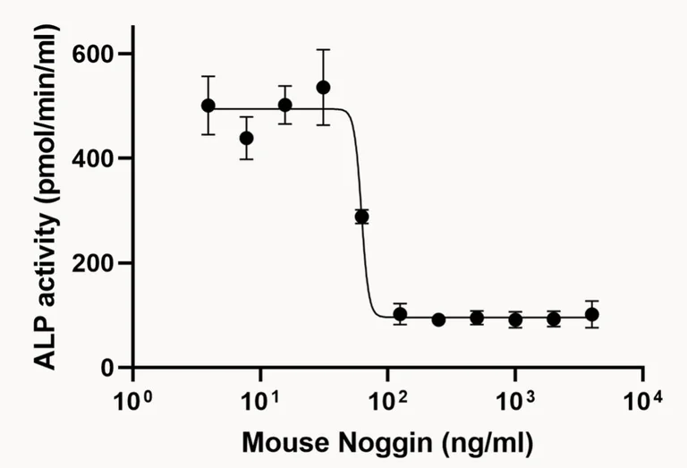 Functional Studies - Recombinant mouse Noggin protein (Active) (AB281818)