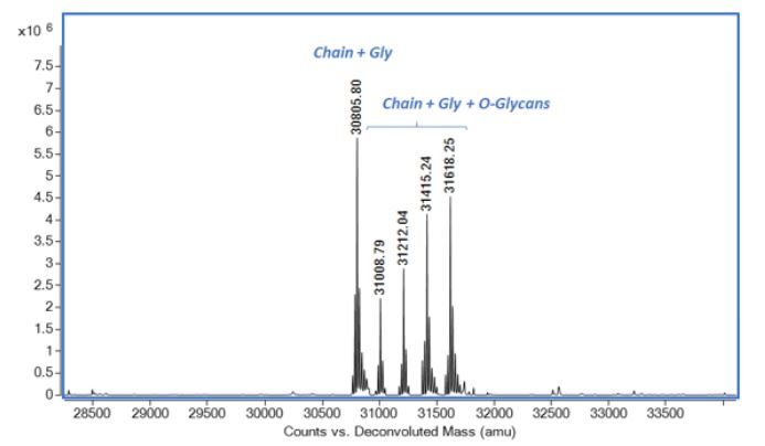 Mass Spectrometry - Recombinant mouse Osteopontin protein (Active) (AB281820), expandable thumbnail