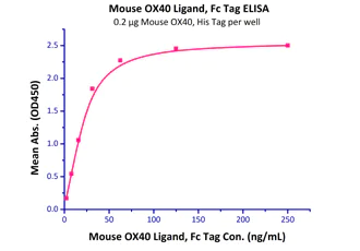 Functional Studies - Recombinant mouse OX40L/TNFSF4 protein (Fc Chimera Active) (AB221205)