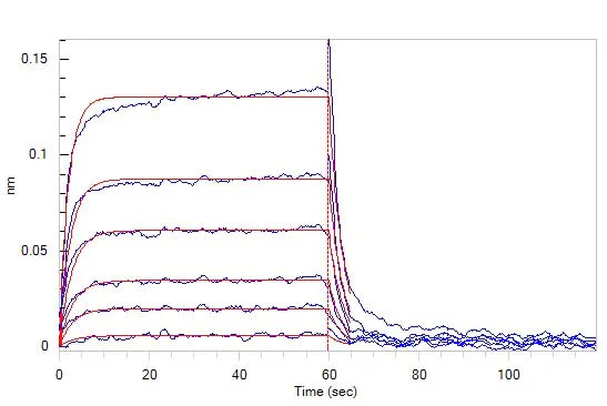 Functional Studies - Recombinant mouse PD1 protein (Active) (AB180051)