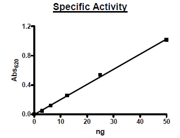 Functional Studies - Recombinant mouse PDE11A protein (Active) (GST tag N-Terminus) (AB271671)