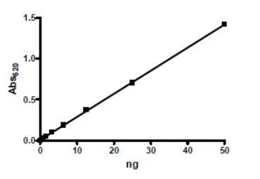Functional Studies - Recombinant mouse PDE1B protein (Active) (GST tag N-Terminus) (AB271672)