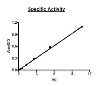 Functional Studies - Recombinant mouse PDE2A protein (Active) (AB271674)