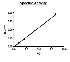 Functional Studies - Recombinant mouse PDE2A protein (Active) (GST tag N-Terminus) (AB271675)