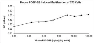 Functional Studies - Recombinant mouse PDGF B protein (AB78593)