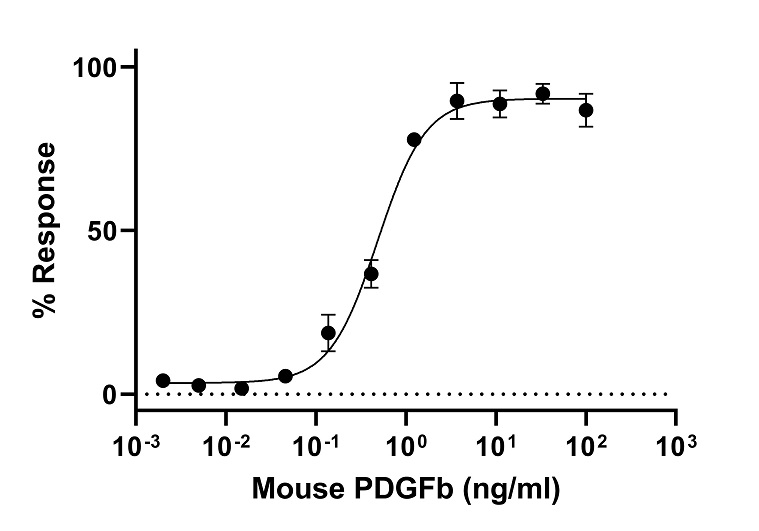 Biological Activity - Recombinant Mouse PDGF B Protein (Active) (AB307483), expandable thumbnail