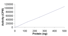 Functional Studies - Recombinant mouse PDGFR alpha protein (GST tag N-Terminus) (AB60755)