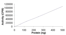 Functional Studies - Recombinant mouse PDGFR alpha protein (GST tag N-Terminus) (AB60755)