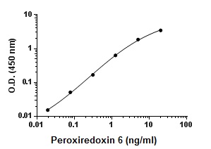 Sandwich ELISA - Recombinant Mouse Peroxiredoxin 6 protein (AB195174)