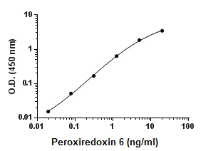 Sandwich ELISA - Recombinant Mouse Peroxiredoxin 6 protein (AB195174)