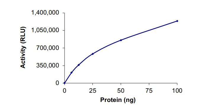 Recombinant mouse PI 3 Kinase p85 alpha + human PI 3 Kinase catalytic subunit alpha/PIK3CA protein