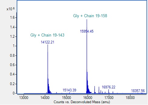 Mass Spectrometry - Recombinant Mouse PLGF Protein (AB313694), expandable thumbnail