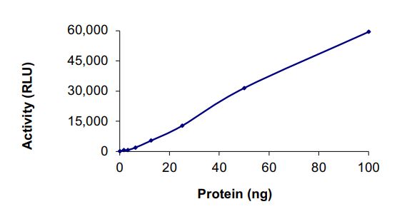 Recombinant mouse RIP protein (Active)