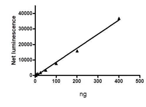 Functional Studies - Recombinant mouse RIP protein (Active) (GST tag N-Terminus) (AB271733)