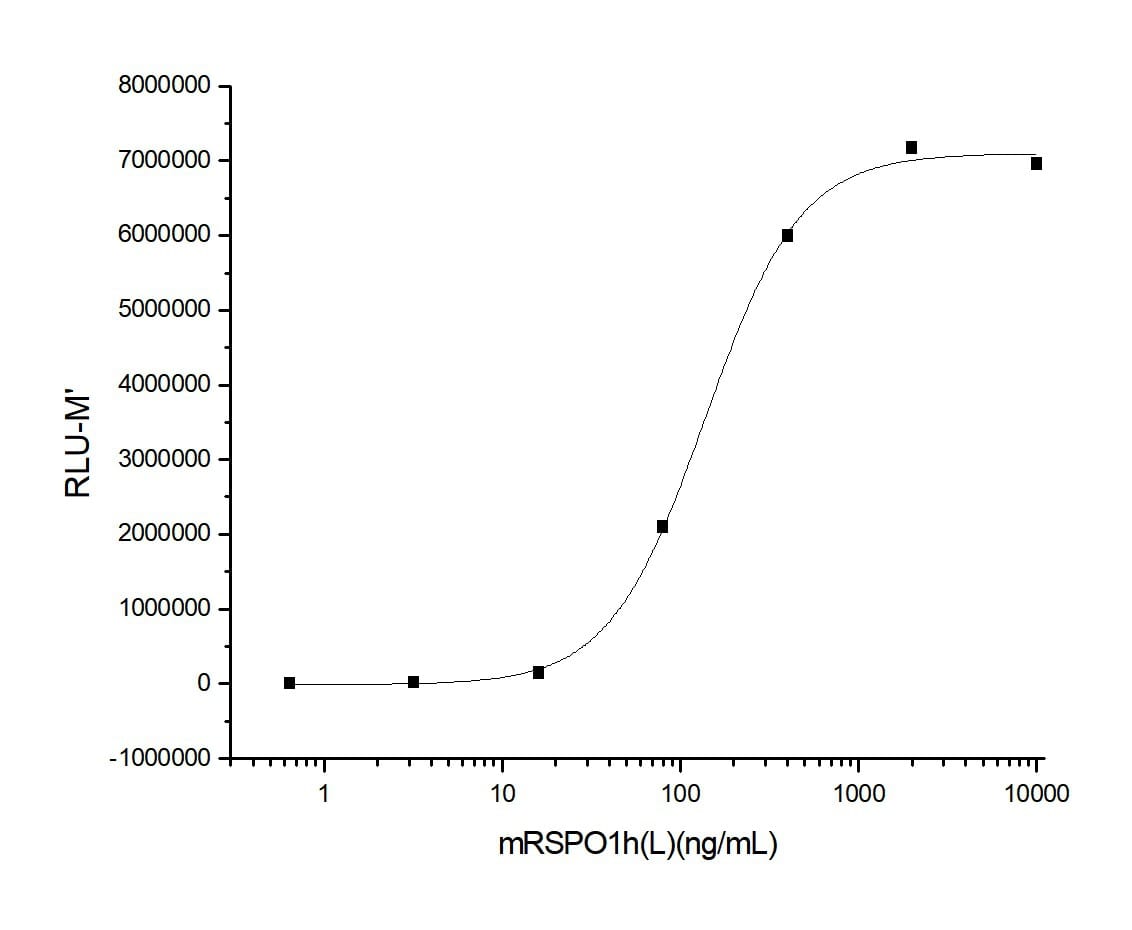 Functional Studies - Recombinant mouse RSPO1 protein (His tag) (AB276813)