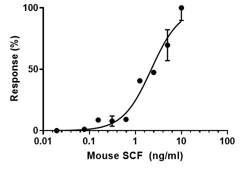 Functional Studies - Recombinant mouse SCF protein (Active) (AB259390)