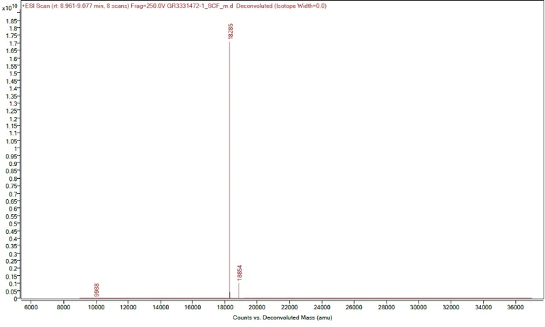 OI-RD Scanning - Recombinant mouse SCF protein (Active) (AB259390)