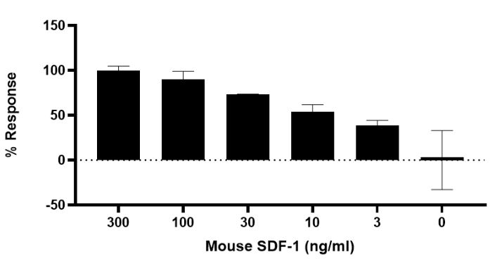 Recombinant mouse SDF1 protein (Active)