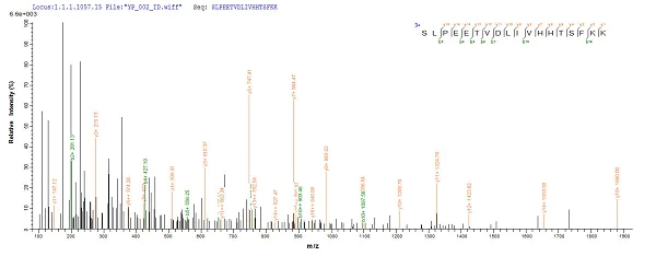 Mass Spectrometry - Recombinant Mouse SULT1A1/STP protein (Tagged) (AB236328)