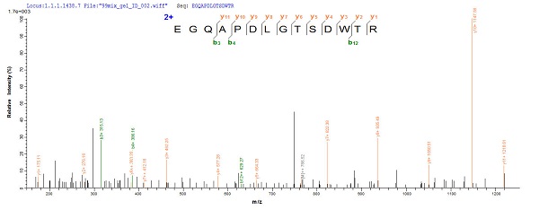 Mass Spectrometry - Recombinant Mouse Tau protein (His tag) (AB241263), expandable thumbnail