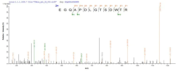 Mass Spectrometry - Recombinant Mouse Tau protein (His tag) (AB241263)