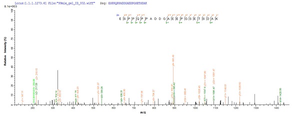 Mass Spectrometry - Recombinant Mouse Tau protein (His tag) (AB241263), expandable thumbnail