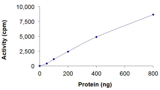 Recombinant mouse TGF beta Receptor I protein (Active)