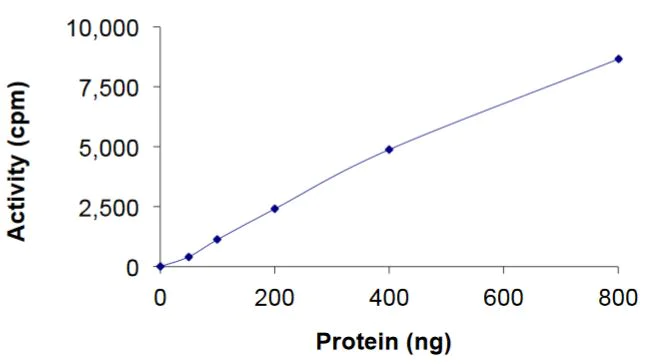 Functional Studies - Recombinant mouse TGF beta Receptor I protein (Active) (AB269040)