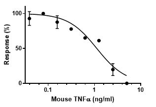 Functional Studies - Recombinant mouse TNF alpha protein (Active) (AB259411), expandable thumbnail