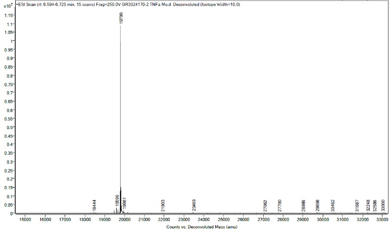Mass Spectrometry - Recombinant mouse TNF alpha protein (Active) (AB259411), expandable thumbnail