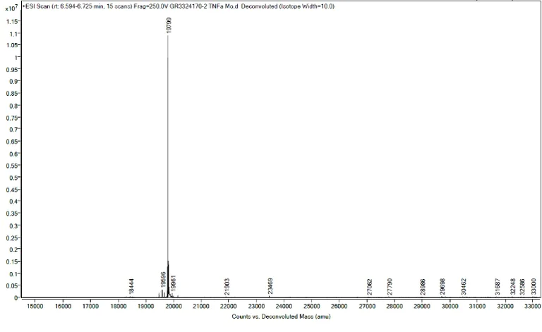 Mass Spectrometry - Recombinant mouse TNF alpha protein (Active) (AB259411)