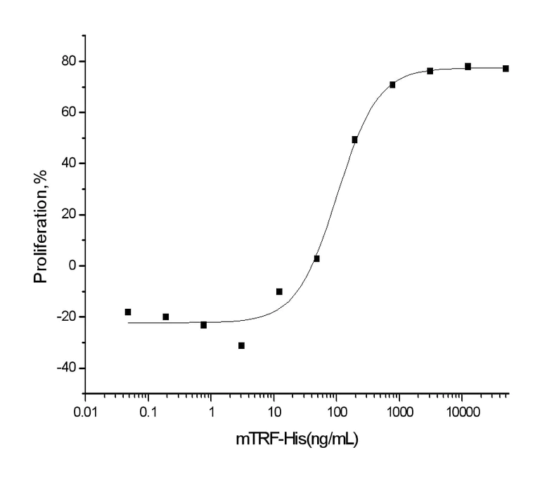 Functional Studies - Recombinant mouse Transferrin protein (His tag) (AB276933)