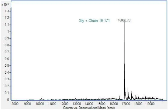 Mass Spectrometry - Recombinant Mouse TREM2 protein (AB290832)