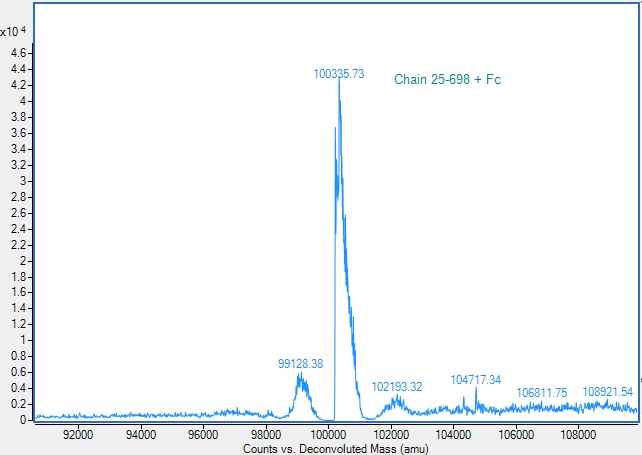 Mass Spectrometry - Recombinant Mouse VCAM1 Protein (Fc Chimera) (AB310806), expandable thumbnail