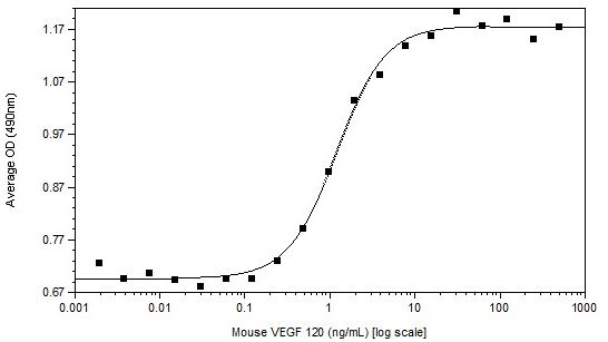 Recombinant mouse VEGFA protein (Active)