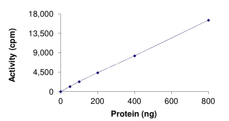 Recombinant mouse WNK4 protein