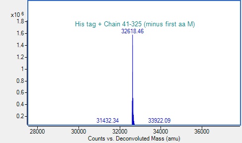 Mass Spectrometry - Recombinant Mycobacterium tuberculosis CDC1551 Ag85 Protein (His tag) (AB318949), expandable thumbnail