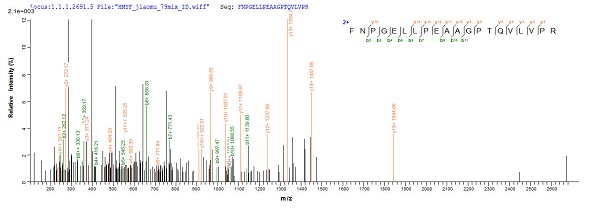 Mass Spectrometry - Recombinant Mycobacterium tuberculosis MPT64 protein (His tag) (AB226277)