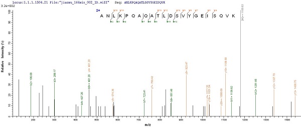 Mass Spectrometry - Recombinant OmpA protein (Tagged) (AB226269), expandable thumbnail