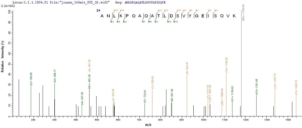 Mass Spectrometry - Recombinant OmpA protein (Tagged) (AB226269)