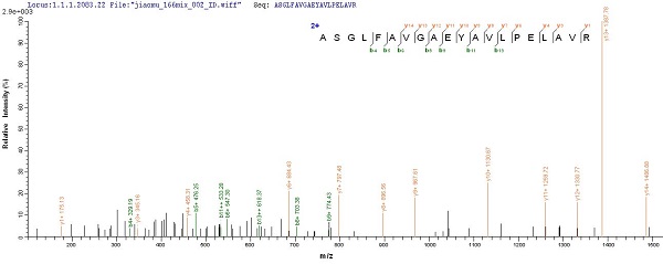 Mass Spectrometry - Recombinant OmpA protein (Tagged) (AB226269), expandable thumbnail
