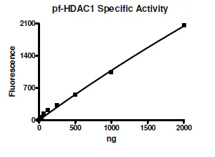 Functional Studies - Recombinant P. falciparum PfHDAC1 protein (Active) (DDDDK tag C-Terminus + His tag C-Terminus) (AB271711)